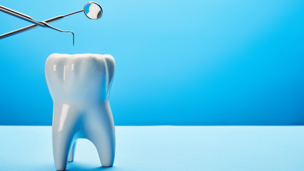 a model of a tooth with dental equipment above it